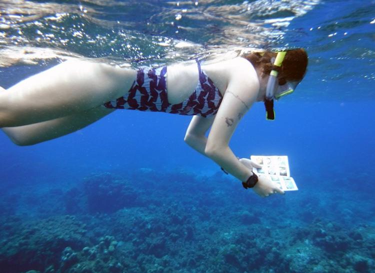 Kaity using her Pocket reef fish guide to identify new species